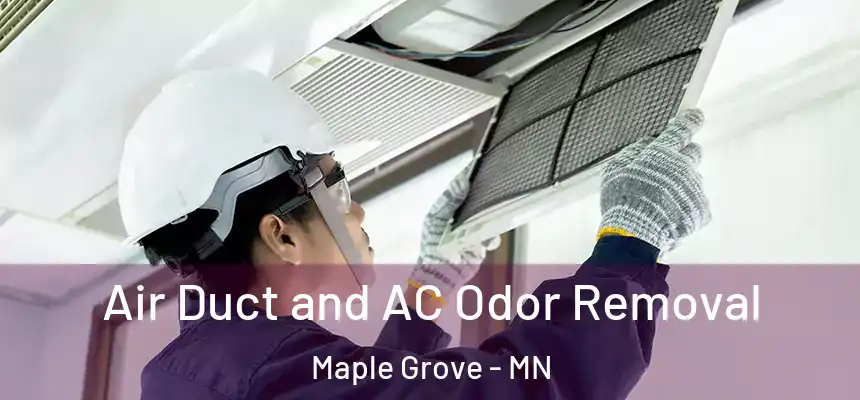 Air Duct and AC Odor Removal Maple Grove - MN