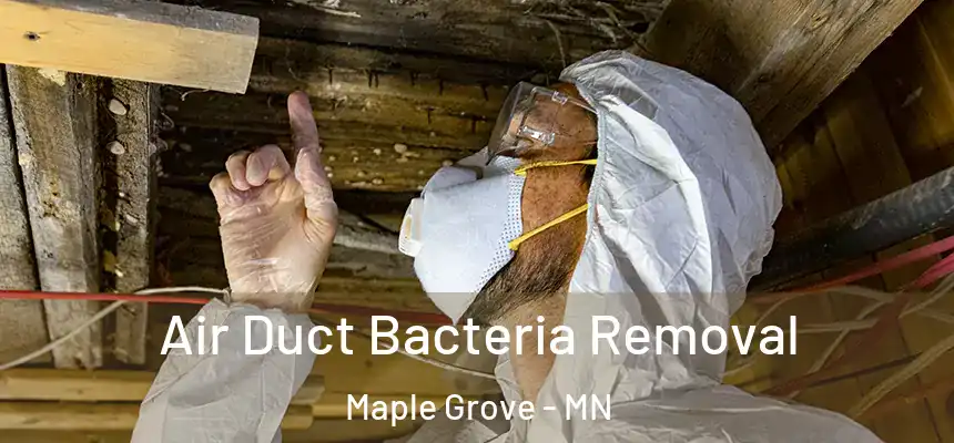 Air Duct Bacteria Removal Maple Grove - MN