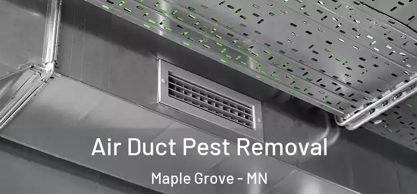  Air Duct Pest Removal Maple Grove - MN