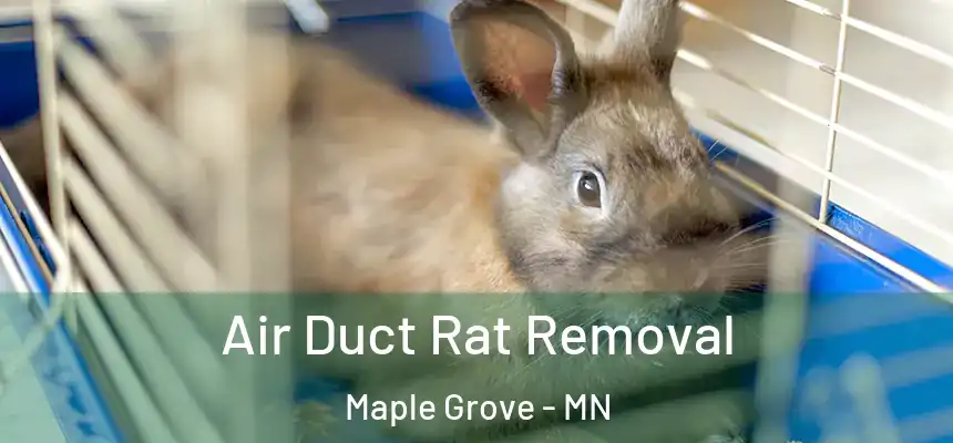 Air Duct Rat Removal Maple Grove - MN