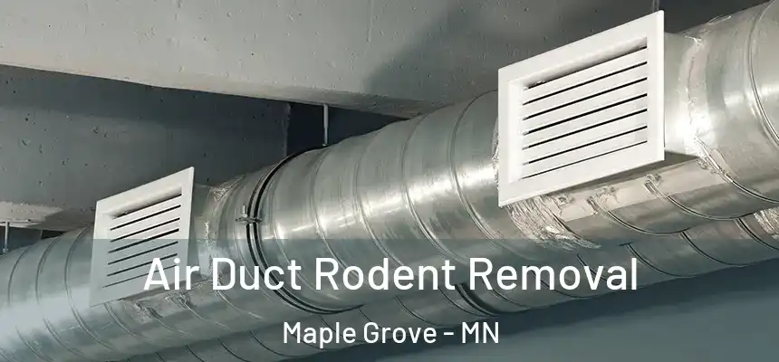  Air Duct Rodent Removal Maple Grove - MN