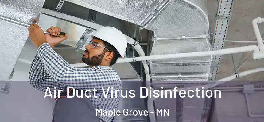 Air Duct Virus Disinfection Maple Grove - MN