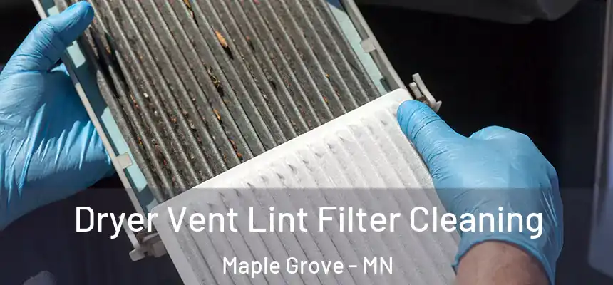  Dryer Vent Lint Filter Cleaning Maple Grove - MN