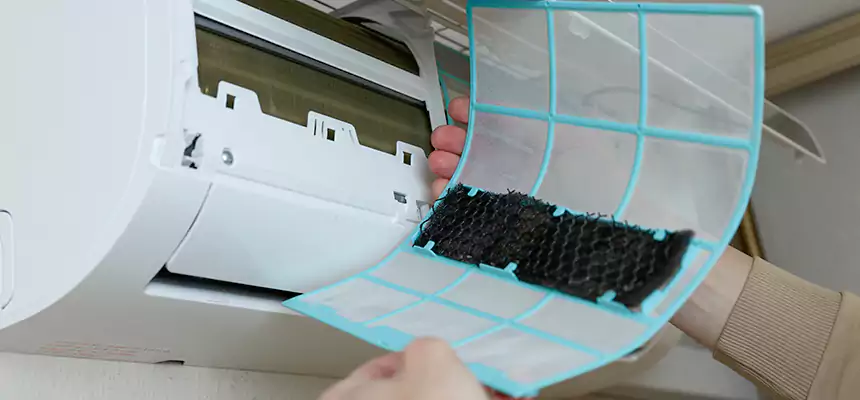 Gentle Ductwork Odor-Control Pet Dander Duct Cleaning in Maple Grove, MN