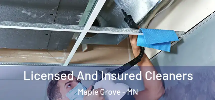  Licensed And Insured Cleaners Maple Grove - MN