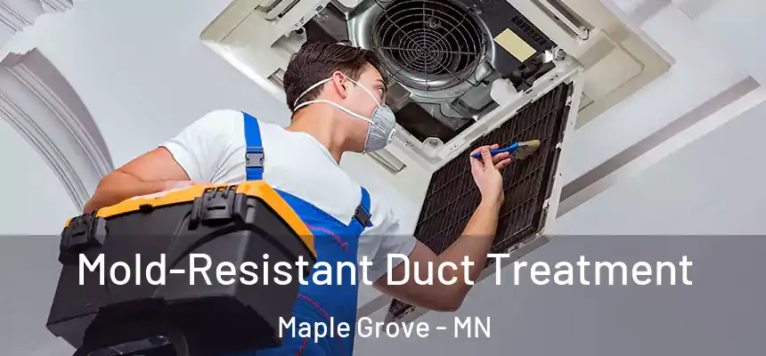 Mold-Resistant Duct Treatment Maple Grove - MN