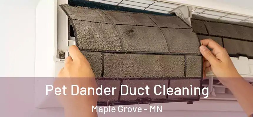 Pet Dander Duct Cleaning Maple Grove - MN