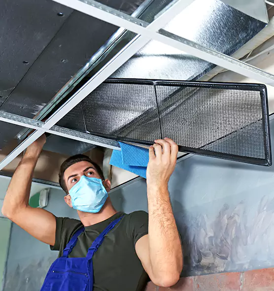 About Air Duct Bacteria Removal in Maple Grove