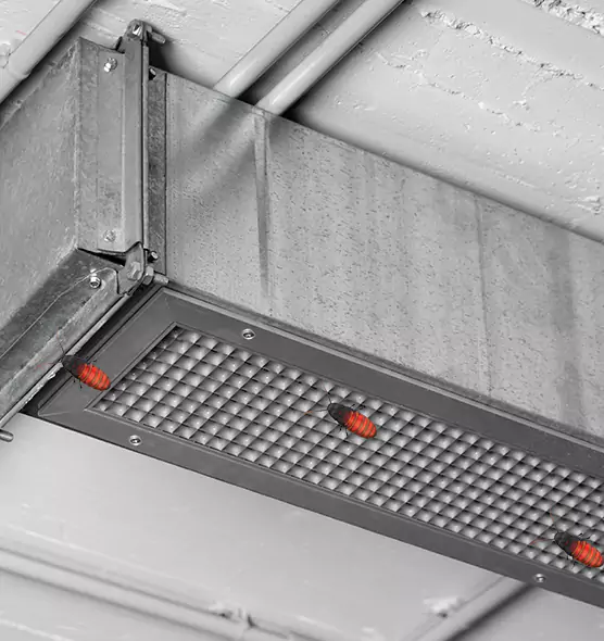 About Air Duct Cockroach Removal in Maple Grove, MN