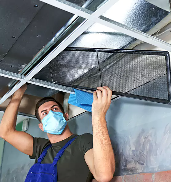 Professional Air Duct Pollen Cleaning in Maple Grove, MN
