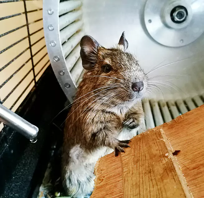 Why Homeowners & Businesses Trust Us Maple Grove, MN