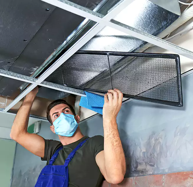 Why Homeowners Businesses Trust Us in Maple Grove, MN