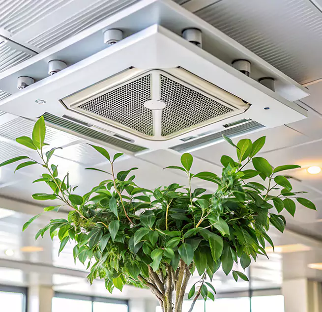 Why Homeowners & Businesses Trust Us in Maple Grove, MN