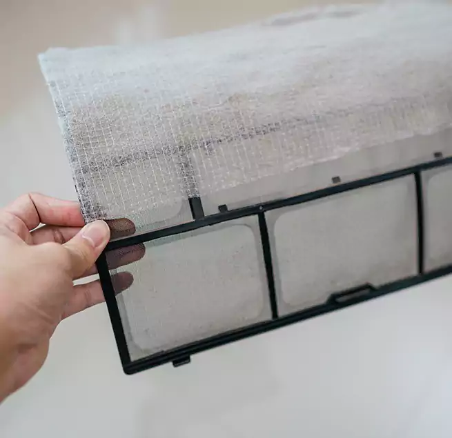 Why Homeowners & Businesses Trust Us in Maple Grove, MN?