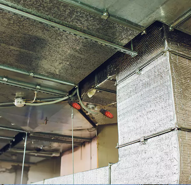 Why Homeowners & Businesses Trust Us Maple Grove, MN?